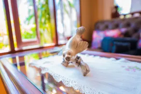 OYO 121 Hua Hin Goodview - Resepsjon
