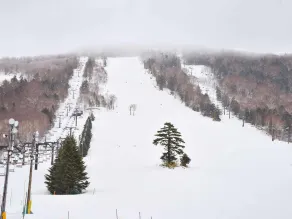 Hotel Mutsumi - Sci e sport sulla neve