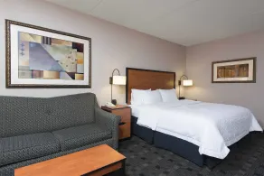 Hampton Inn and Suites Indianapolis - Fishers - Room