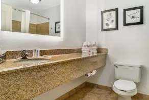 Country Inn & Suites by Radisson, Rossford - Toledo South - Chambre