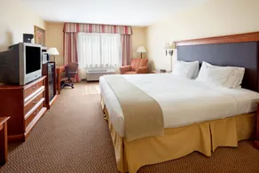 Holiday Inn Express & Suites - Laredo-Event Center Area by IHG - Chambre