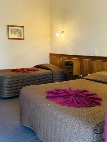 County Lodge Motor Inn - Chambre