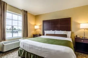 Cobblestone Inn & Suites - Oberlin - Værelse