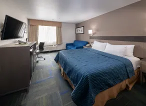 Buena Vista Motor Inn - Chambre