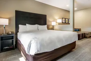 Comfort Suites Wooster near University Campus - Chambre