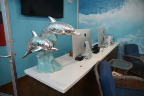 Sand Rose Beach Resort - Réception