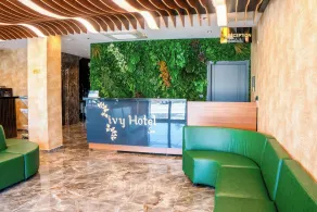 ivy Hotel Spa Yalova - Recepción