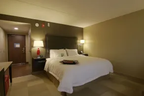Hampton Inn & Suites by Hilton Toronto Markham - Chambre
