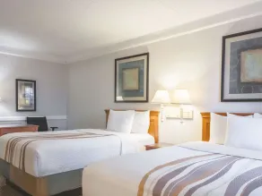 La Quinta Inn by Wyndham New Orleans West Bank / Gretna - Room
