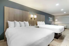 Best Western Plus Edinburg Inn & Suites - Chambre