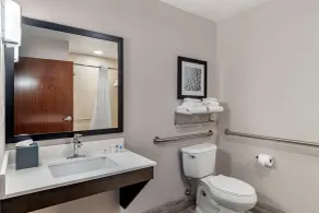 Comfort Suites McDonough Atlanta South - Bathroom