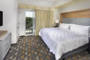 Holiday Inn & Suites Arden - Asheville Airport by IHG - Chambre