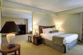 Holiday Inn & Suites Pittsfield-Berkshires by IHG - Chambre