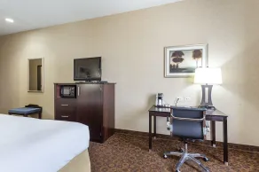 Holiday Inn Express Hotel & Suites Byram by IHG - Chambre