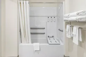 Cobblestone Hotel & Suites Denmark - Green Bay - Badeværelse