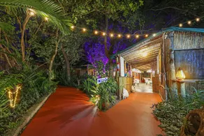 Gala Gala Eco Resort - Reception