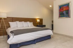Arawi Hotel Boutique - Chambre
