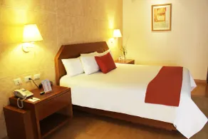 Grand Viator - Habitación