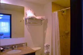 Hotel Pinares Plaza - Bathroom