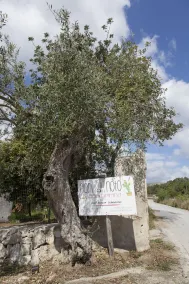 Camping Fiori di Noto - Indgang