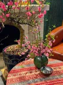 Sapa Eco Villas & Spa - Réception