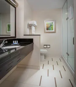 Fairfield Inn & Suites by Marriott North Bergen - Bathroom