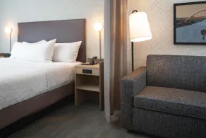 Tru By Hilton Spring Hill - Chambre