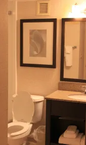 Clarion Inn Elmira-Horseheads - Salle de bain