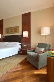 Hyatt Regency Delhi - Room