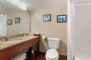 Comfort Inn & Suites Milford - Habitación