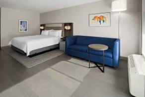 Holiday Inn Express & Suites Waynesboro East - Værelse