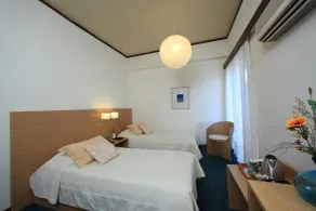 Dioscouri Hotel - Chambre