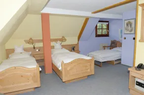 Hotel Sarbacher - Room
