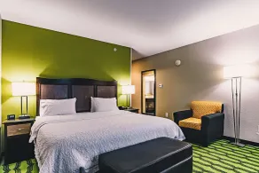 Hampton Inn Niagara Falls/Blvd - Chambre