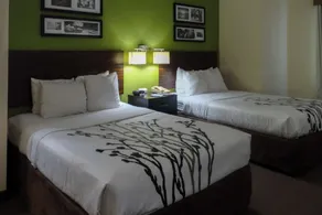 Sleep Inn & Suites Near Columbus - State University Area - Chambre