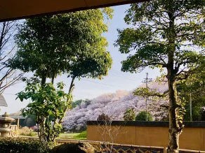 Ryutakuzenji 宿坊 - Vue de la chambre