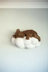 Vikas - Room