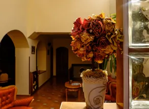 Casa Wagner - Reception