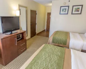 Comfort Inn Hammond - Chambre