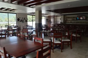 Hotel Suites Don Miguel - Restaurant