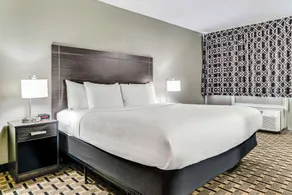 Quality Inn Detroit Downtown - Chambre