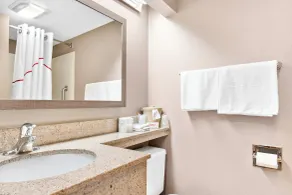 Red Roof Inn Harrisburg North - Baño