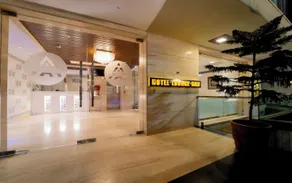 Hotel Aditya Park Regent - Entrada (vista interior)