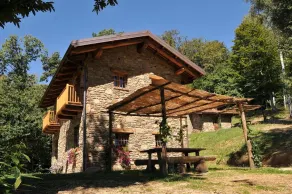 Agriturismo l'Arbo - Camera