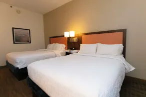 Hampton Inn Scranton at Montage Mountain - Chambre