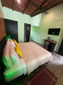 Parti Gras Hotel & Villas en Playa Potrero - Vue de la chambre