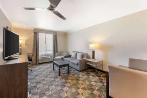 Best Western Plus Country Park Hotel - Room