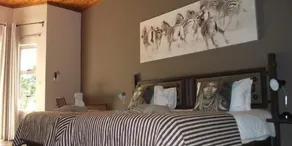 Out of Africa Guesthouse - Quarto