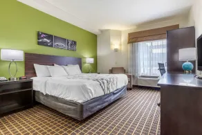 Sleep Inn Orangeburg - Chambre