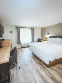 The Earl of Sandwich Motel - Chambre